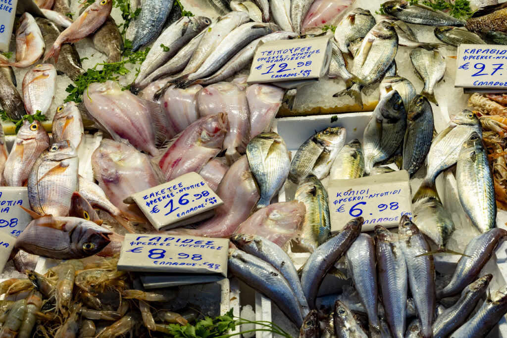 Athens food crawl fresh fish on display at Athens Central Market