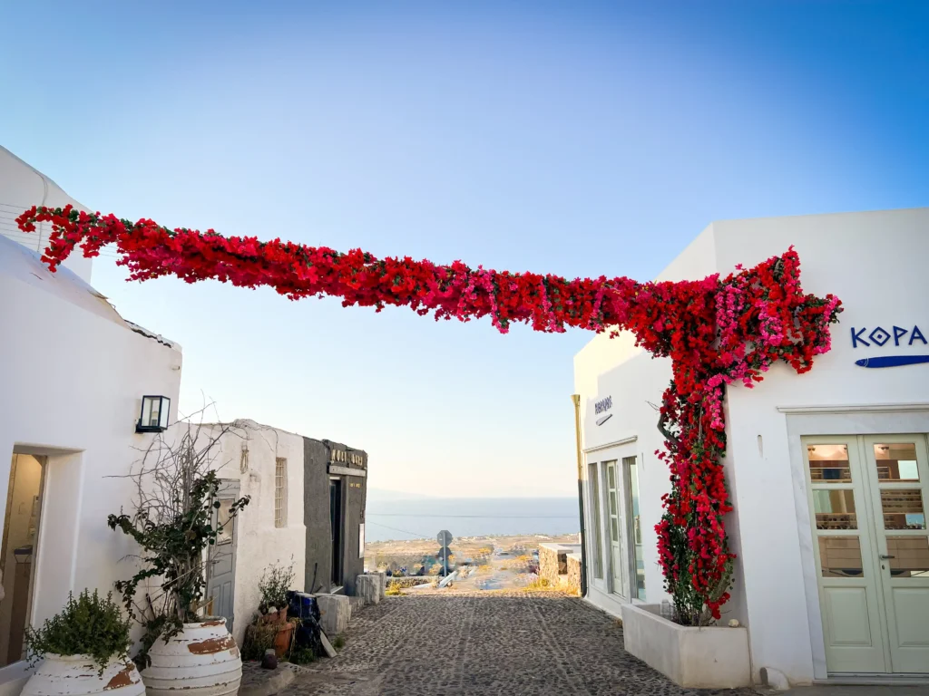 A narrow cobblestone street in Santorini framed by whitewashed buildings, with vibrant red and pink bougainvillea arching overhead. The sea is visible in the distance under a clear blue sky, capturing the island’s charm and laid-back Mediterranean vibe.