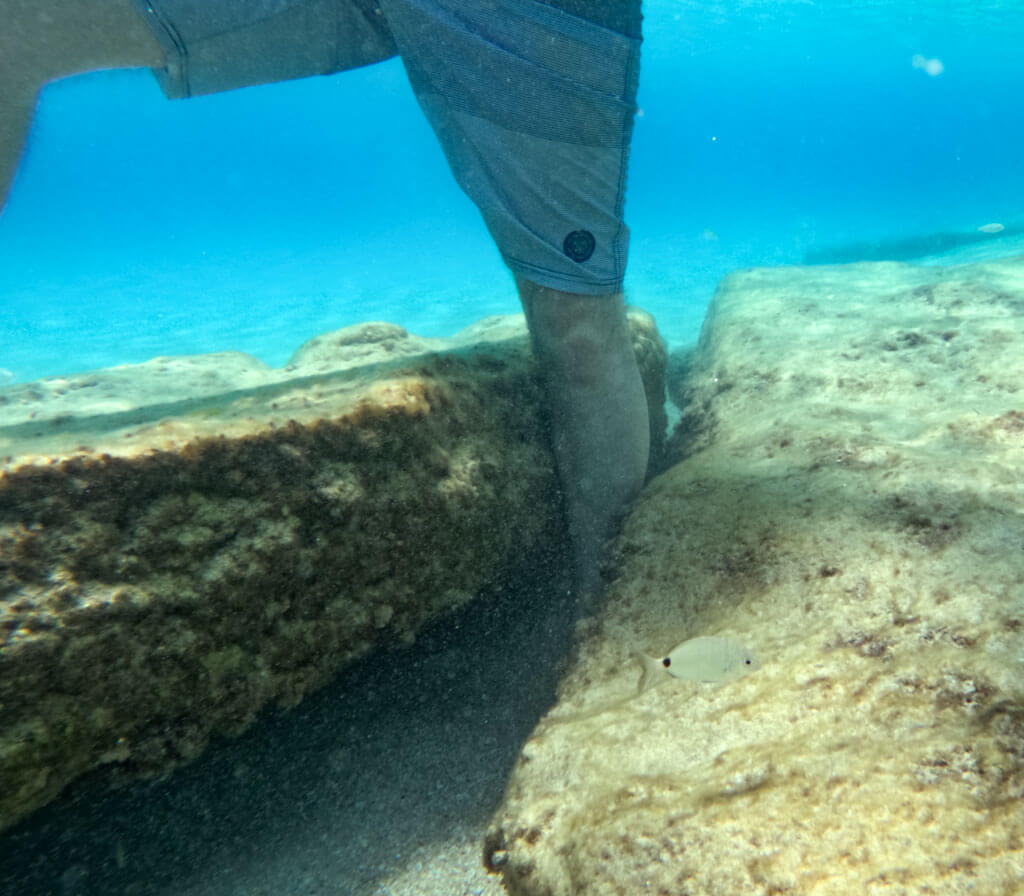 Underwater view near Platis Gialos Beach in Mykonos showing a person's leg between large flat rocks, with a small silver fish swimming nearby in the clear turquoise water. The image captures the beach’s shallow, rocky seabed and marine life.
